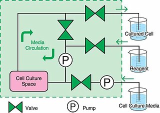 All-In-One Disposable PDMS Chip Beispielkonfiguration